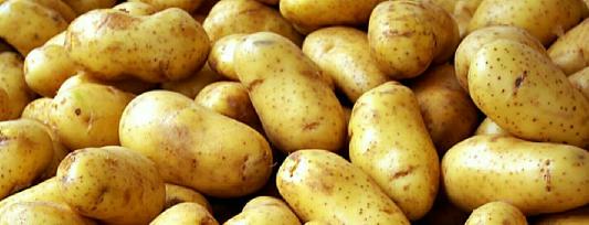 Potato Soup